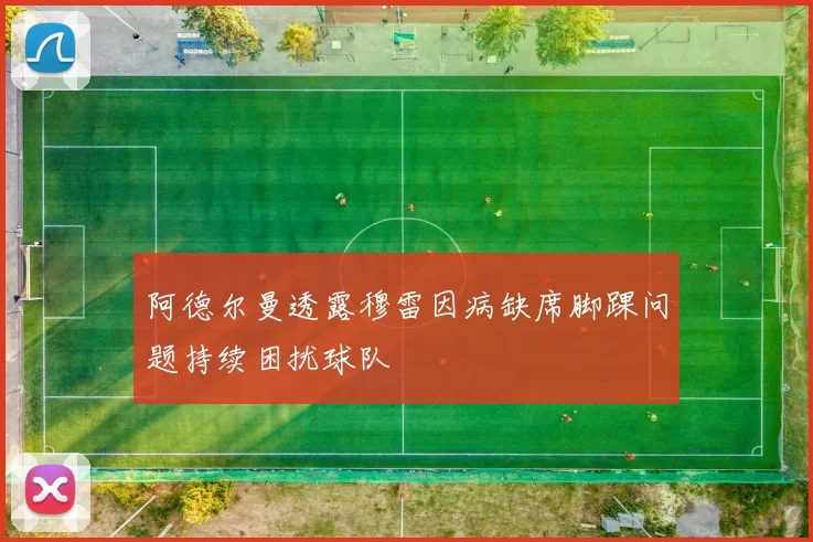 阿德尔曼透露穆雷因病缺席脚踝问题持续困扰球队