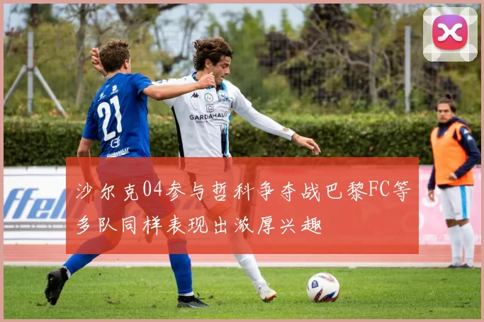 沙尔克04参与哲科争夺战巴黎FC等多队同样表现出浓厚兴趣